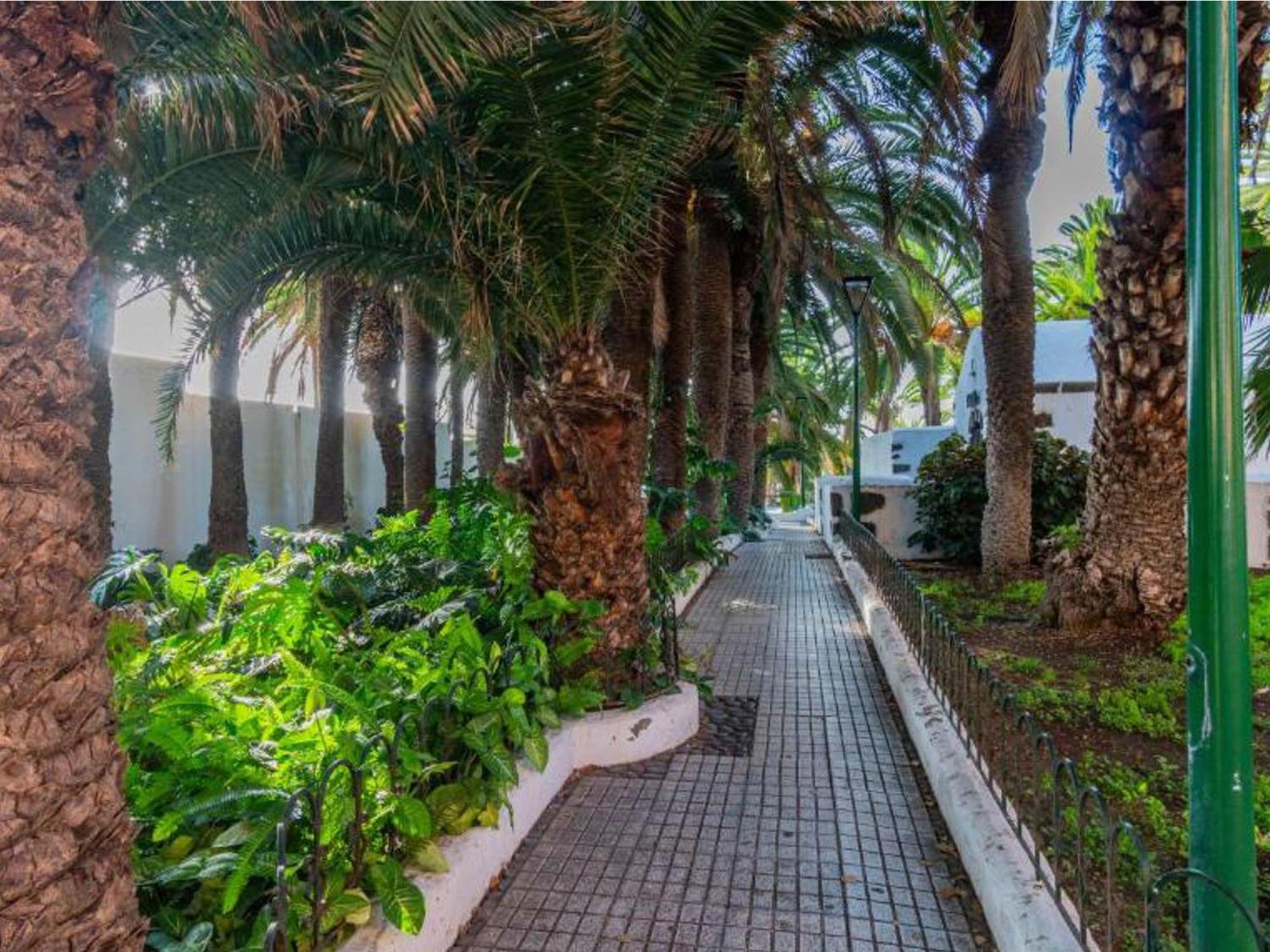Live Puerto Valle Luz Puerto de la Cruz  Bagian luar foto